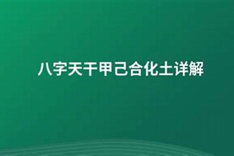 八字甲子和己未能合化吗