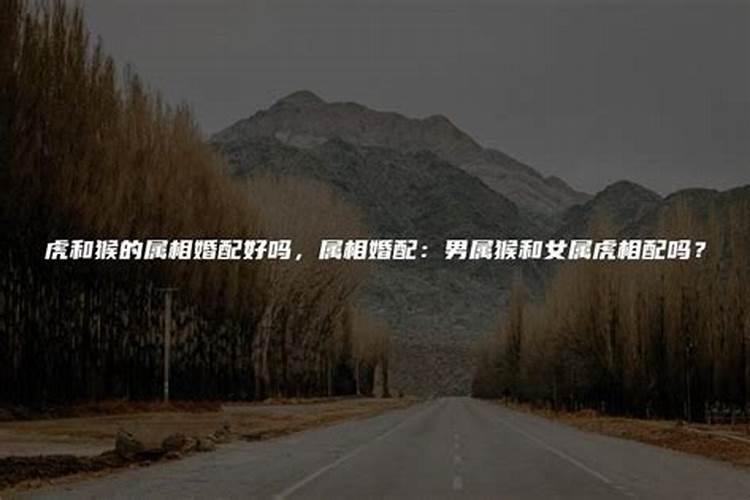 梦见马受惊了乱跑要撞我身上