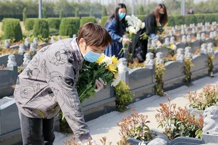 清明节网上祭扫鲜花