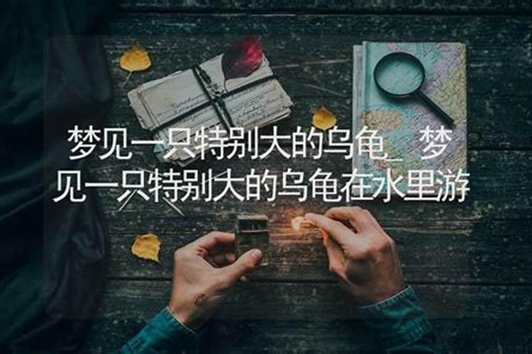 梦见自己出轨老公哭的很伤心