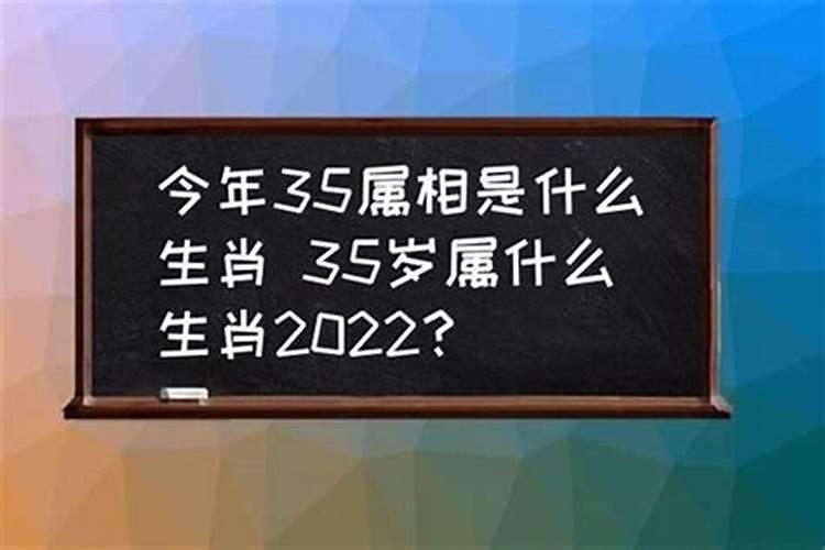 今年35岁属什么生肖的属相