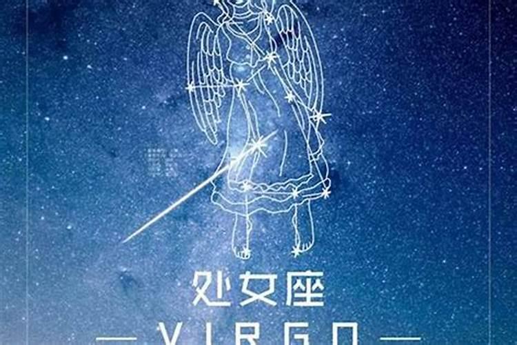 属马的什么星座女生