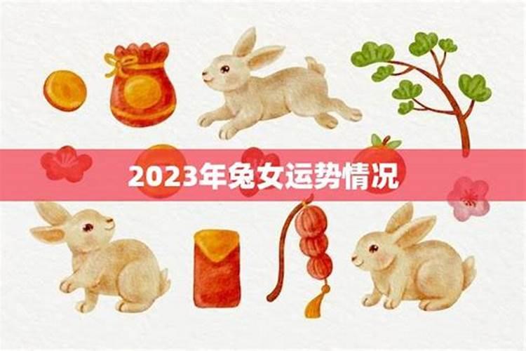 属猪在什么年犯太岁