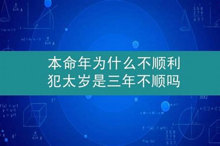 属鼠出生的12个月运程如何