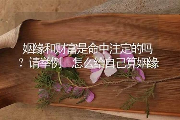 属兔的今年每月财运怎么样