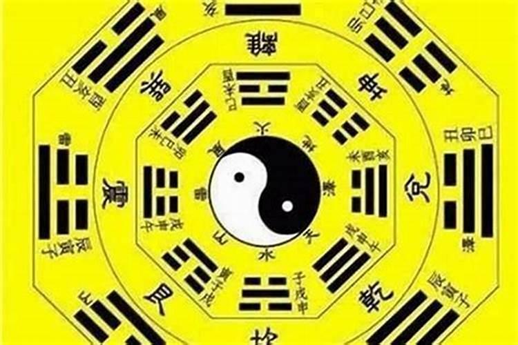 梦到孔雀什么意思啊