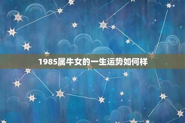 1991属羊的今年运势如何