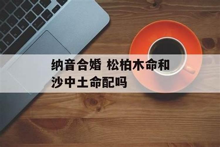 八字中有披麻是什么意思