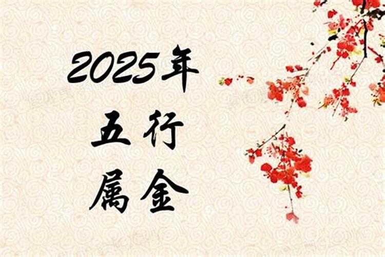 2025年是什么命