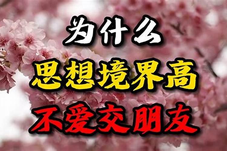 八字算命哪个平台好一点