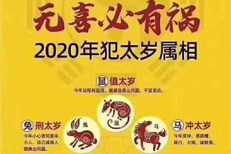 2020阳历12月生肖运势