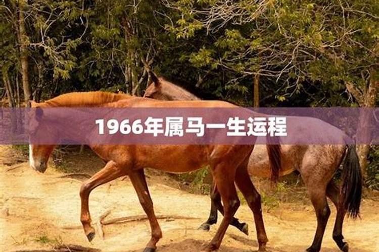 1971年属猪的人2021年每月运势