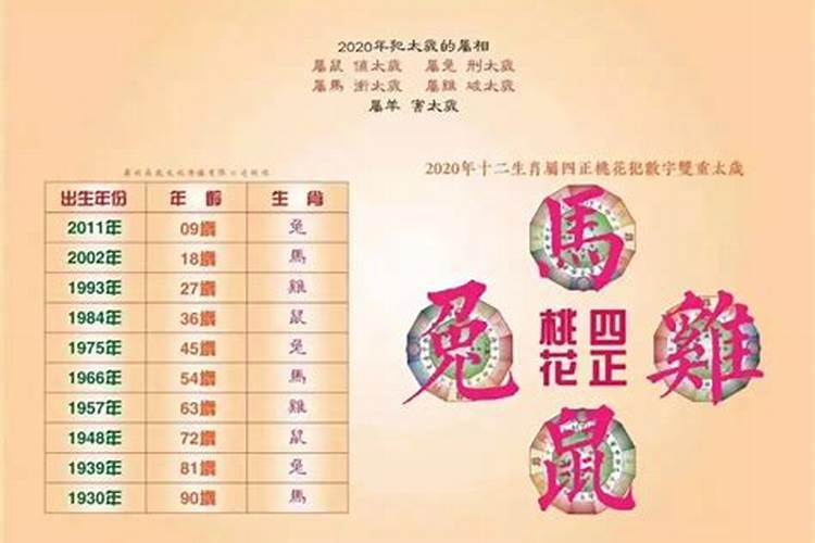 2020年11月8日是属什么生肖