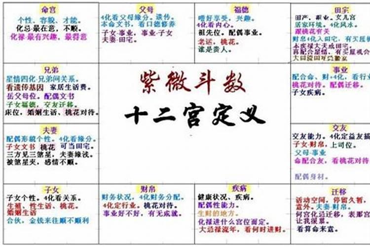 八字看婚姻准还是紫薇