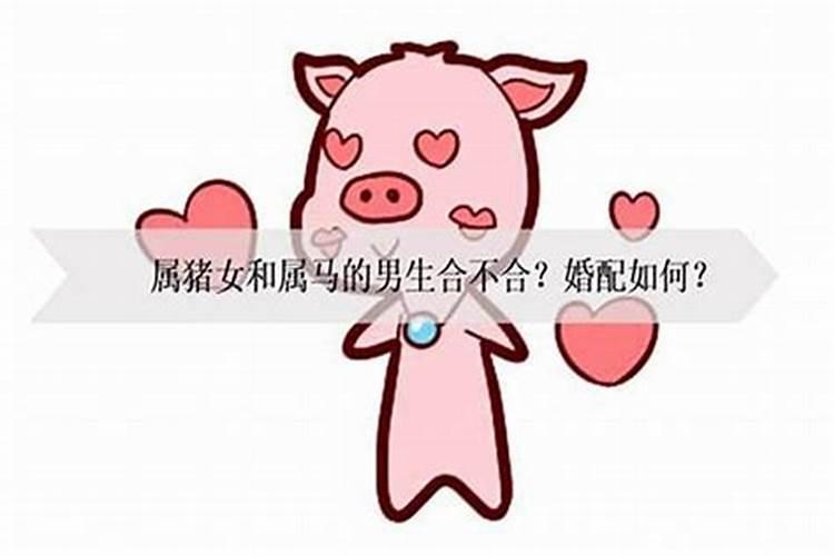 鼠和兔合不合得来