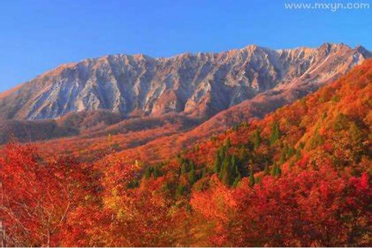 梦见一座大山什么预兆