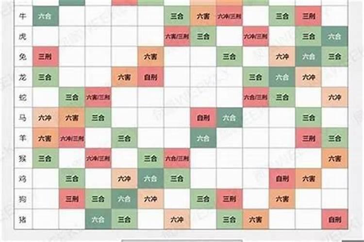 属相星座婚配科学吗