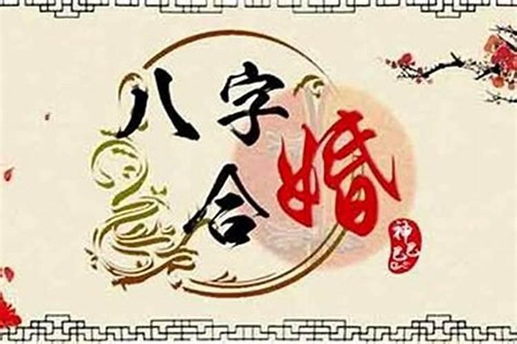 八字合神是什么意思