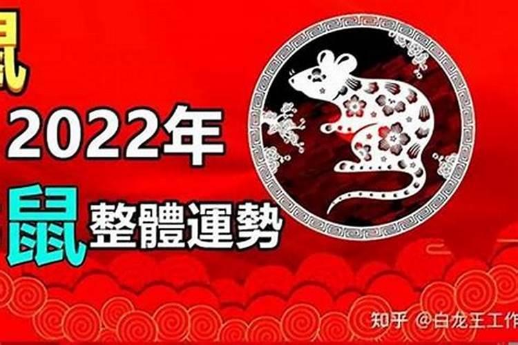 女属鼠2023年运势运程