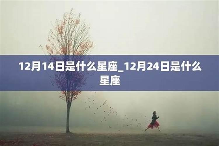 2005年10月14日出生的是什么星座的人