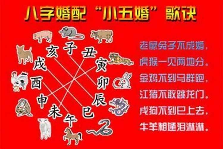 犯太岁会很倒霉吗为什么呢