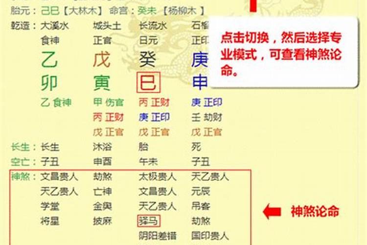 熊的八字属性