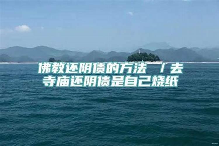 梦见两只小黑狗是什么征兆周公解梦