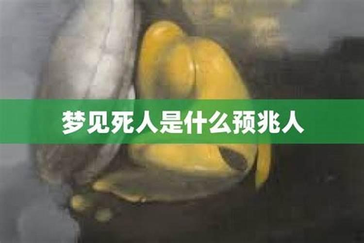 梦见弟弟来我家做客敲门