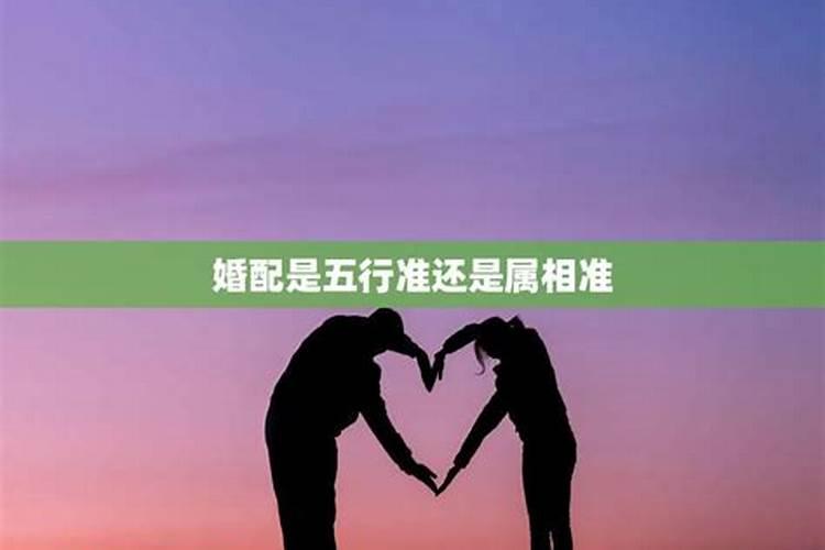 婚配属相准还是星座准