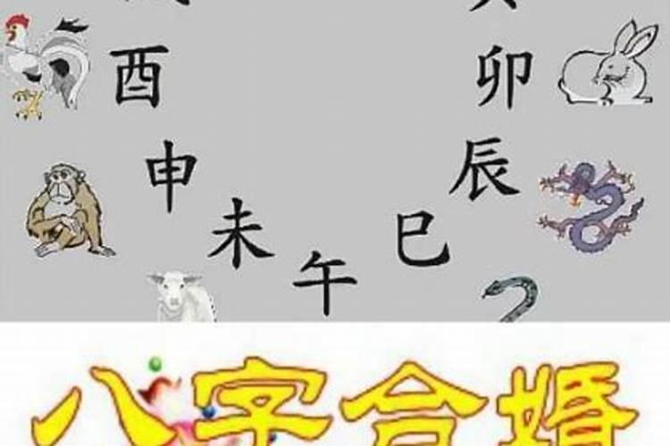 阴阳不合的八字