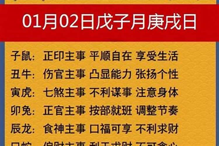 鼠牛人2023年运势运程