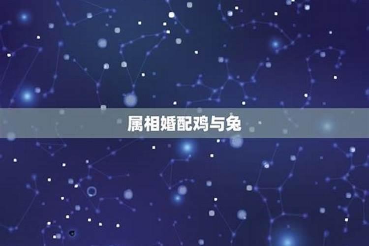 12月份的星座是什么星座