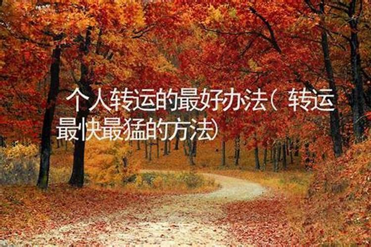 八字中有官星是指什么