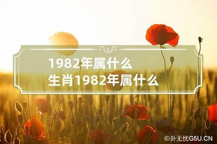 女龙2023年运势如何