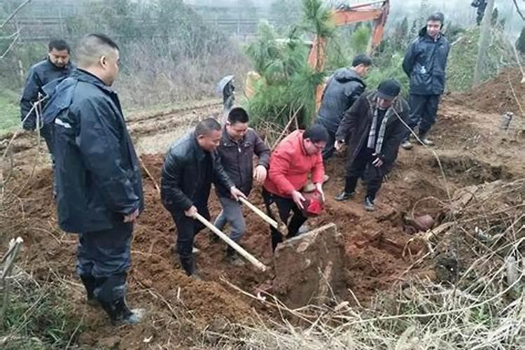 属羊人为什么总犯太岁