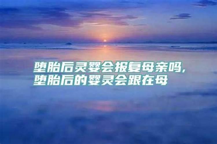 梦见狗咬我,狗死了