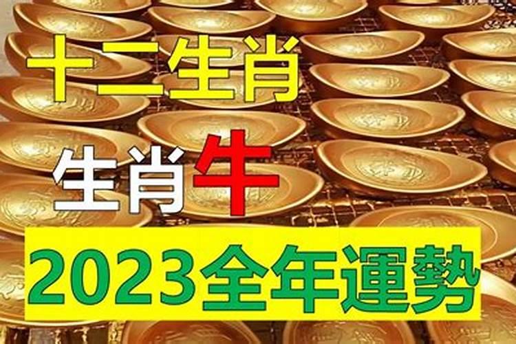 生肖运势2023年运程非常运势