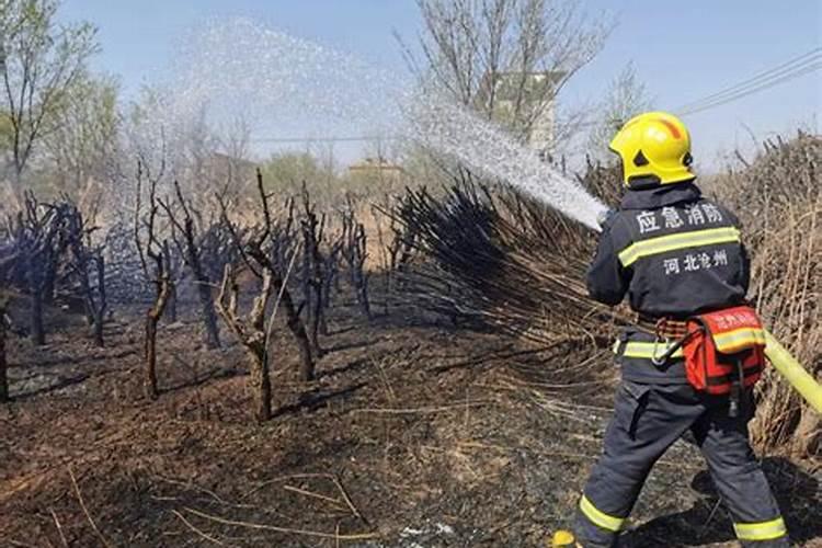 梦见上坟着火了又被扑灭