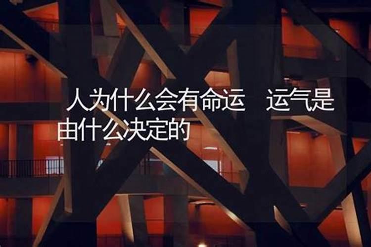 人的运气是命中注定的吗为什么