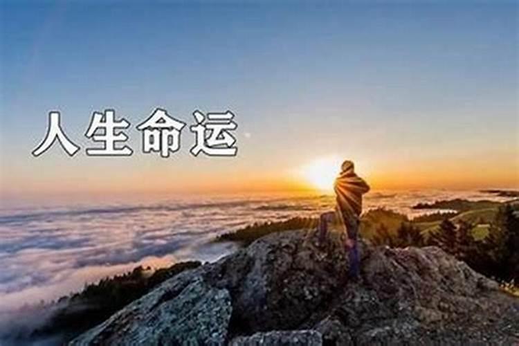 梦到浑浊的泥浆什么意思