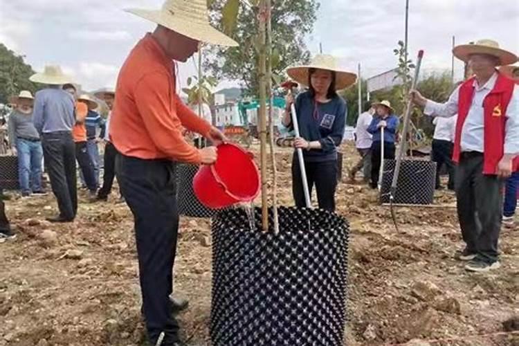 梦见捡田螺是什么意思周公解梦女人吃