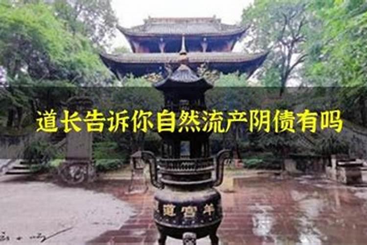 陕西重阳节有什么风俗活动