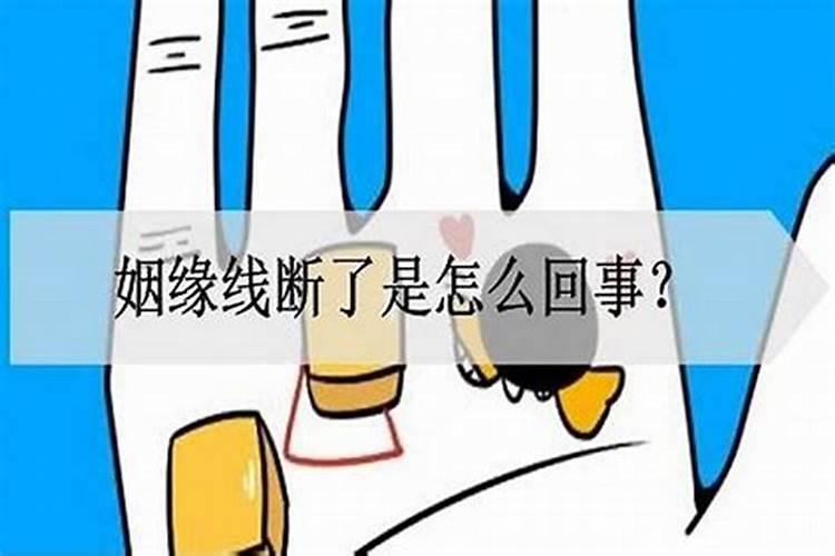 梦见漂亮的大公鸡捉我什么预兆