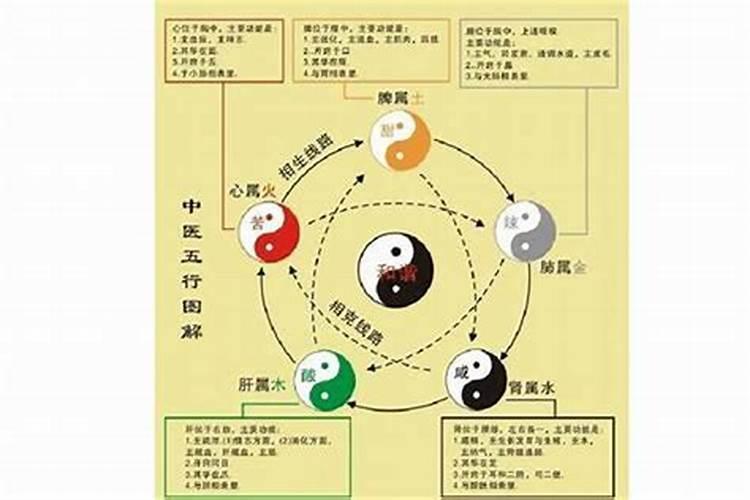 寻字五行属什么的