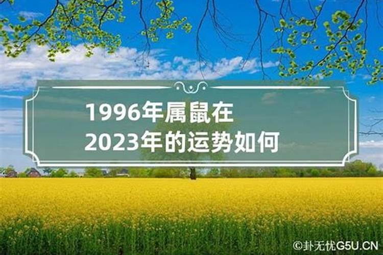 1996年生2023年运势运程