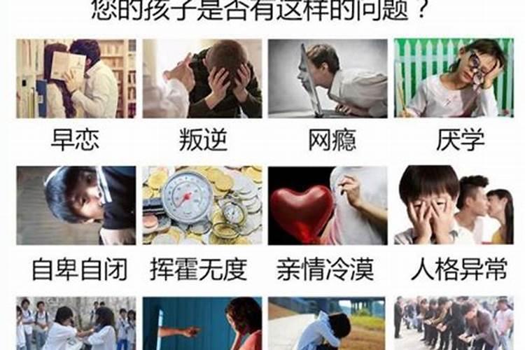 女主和男牛属相合不合