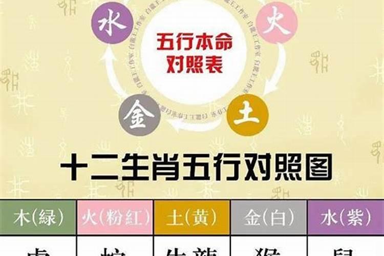 梦见男孩吃奶怎么回事儿