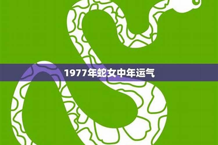 1997年农历二十三出生的女人的运势