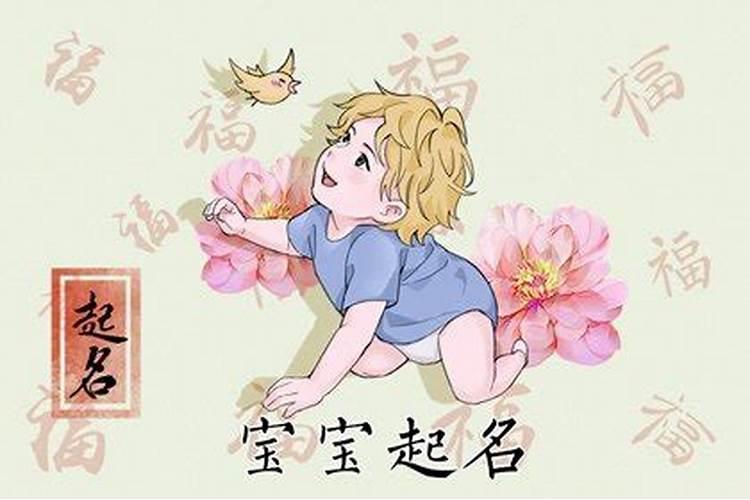 夏至出生阳气