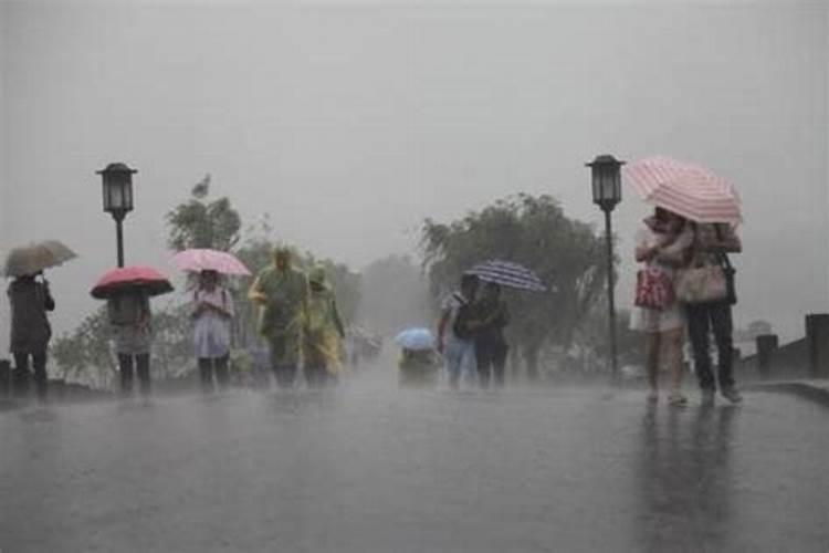 梦见下大雨什么寓意